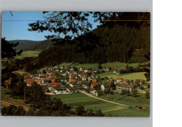 50297201 - Klosterreichenbach - Baiersbronn