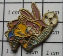 SP15 Pin's Pins / Beau Et Rare / SPORTS / FOOTBALL EURO SUEDE 192 LAPIN LIEVRE - Fútbol