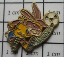 SP15 Pin's Pins / Beau Et Rare / SPORTS / FOOTBALL EURO SUEDE 192 LAPIN LIEVRE - Voetbal