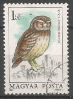 Hungary 1985 Owl  Y.T. 2952 (0) - Used Stamps