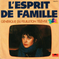 L'Esprit De Famille - Générique Du Feuilleton Télévisé TF1 - Zonder Classificatie