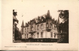 CPA  - SALIES-DE-SALAT - CHATEAU DE TOUILLE (IMPECCABLE) - Salies-du-Salat