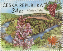 1224 Czech Republic Podyjí National Park.Sobes Vineyard 2023 - Wines & Alcohols