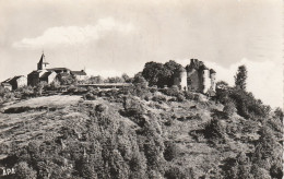 ENVIRONS ALBAN SAINT ANDRE L'EGLISE LE CHATEAU CPSM 9X14 TBE - Alban