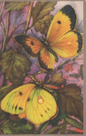 PAPILLONS Vintage Carte Postale CPSM #PBZ949.FR - Butterflies