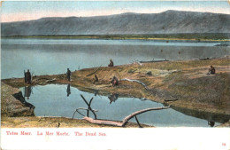 Totes Meer - The Dead Sea - Palästina