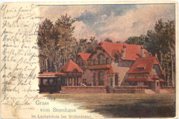 Gruss Vom Sternhaus Im Lechelnholz Bei Wolfenbüttel - Wolfenbüttel