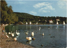 Herrsching Am Ammersee, Blick Vom Dampfersteg - Herrsching