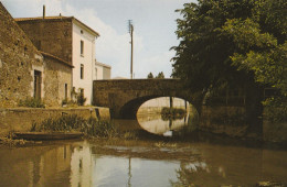 SAINTE HERMINE . -  Le Pont Et La Rivière La Smagne - Sainte Hermine