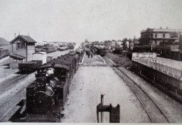 The Railway Station At PALMERSTON NORTH. Superb Railway View With Trains - New Zealand