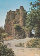 POUZAUGES . - Donjon Du Vieux Château - Pouzauges