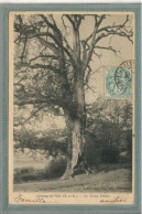 CPA (78) CERNAY-la-VILLE - Thème: ARBRE - Aspect Du Vieux Chêne En 1904 - Cernay-la-Ville