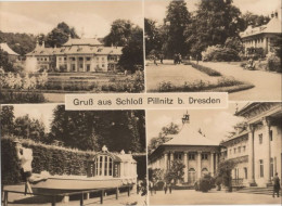 135920 - Dresden-Pillnitz - Schloss - Pillnitz