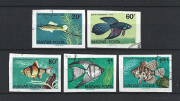 Hungary 1962 Fish Imperf.  Y.T. 1495+1498/1501 ND (0) - Used Stamps