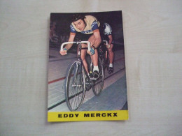 Carte Postale Ancienne EDDY MERCKX - Sportler