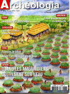 ARCHEOLOGIA N° 536 Guyane Amérindiens Cultivaient Sur L'eau , Auvergne Corent , Syrie Palmyre Amrit ,  - Archéologie