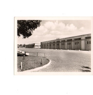 Photo Ancienne Hangars C1/9 - 1939-45