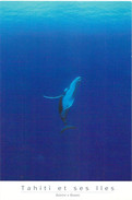 Polynésie Française TAHITI Et Ses îles Baleine à Bosses (B)  (whale) BLU N° CM 37 / Pascal Jagut - Polynésie Française