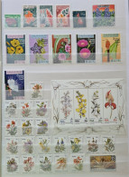 Collection De Timbres Sur Le Thème Des Fleurs. - Sammlungen (ohne Album)