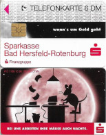 Germany - Sparkasse Mouse (Overprint Variant ''Bad Hersfeld-Rotenburg'') - O 1166 - 10.1996, 6DM, Used - O-Series: Kundenserie Vom Sammlerservice Ausgeschlossen