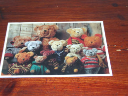 74034-             BEREN / BEARS / BÄREN / OURS / ORSI / TEDDYBEARS - Games & Toys