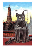 MALDIVE  - 1994 - FAUNA - ANIMALS -  CAT - CATS - GATTI - 1 V - MNH - - Domestic Cats