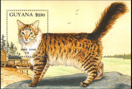 GUYANA - 1992 - FAUNA - ANIMALS -  CAT - CATS - GATTI - 1 V - MNH - - Domestic Cats