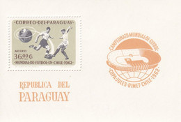 Paraguay Hb Michel 24 - Paraguay