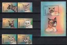 GHANA - 1997 - FAUNA - ANIMALS -  CAT - CATS - GATTI - 7 V - MNH - - Katten