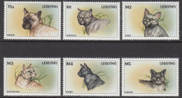 LESOTHO - 1998 - FAUNA - ANIMALS -  CAT - CATS - GATTI - 6 V - MNH - - Chats Domestiques