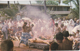 PREPARATION FOR A HAWAIIAN  IN OUR BEAUTIFUL  STATE   - PRÉPARATION POUR UN HAWAÏEN DANS NOTRE BEL ÉTAT - Sonstige & Ohne Zuordnung