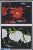 Saint Vincent 1997 Orchids 2 S/s, Mint NH, Nature - Flowers & Plants - Orchids - St.Vincent (1979-...)