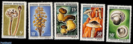 Central Africa 1967 Mushrooms 5v, Mint NH, Nature - Mushrooms - Hongos