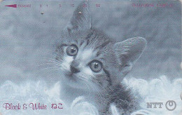 Télécarte JAPON / NTT 291-214 B / TBE - ANIMAL - CHAT - CAT JAPAN Phonecard - KATZE SERIE BLACK & WHITE - 4070 - Giappone