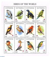 Guyana 1994 Birds 12v M/s, Mint NH, Nature - Birds - Birds Of Prey - Woodpeckers - Geese - Guyana (1966-...)