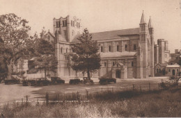 Postcard - Buckfast Abbey Church - Card No.10552 - Very Good  - Non Classificati