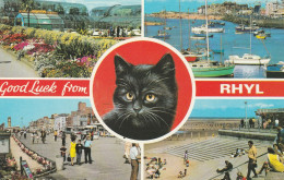 Postcard - Rhil - Four Views Plus Cat - Card No.r0701 - Very Good  - Non Classificati