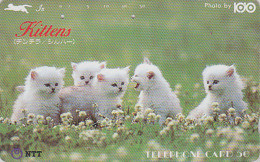 Télécarte JAPON / NTT 250-206 A / TBE - ANIMAL - CHAT - SERIE KITTENS - CAT JAPAN  Phonecard - KATZE - GATO - 4072 - Chats