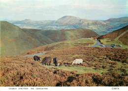 Angleterre - Church Stretton - The Longmynd - Chevaux - Shropshire - England - Royaume Uni - UK - United Kingdom - CPM - - Shropshire