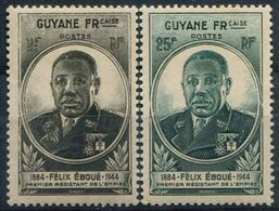 GUYANE - Y&T  N° 180-181 ** - Unused Stamps
