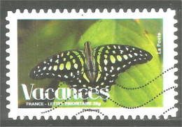 331eu-49 France Papillon Butterfly Schmetterling Farfalla Mariposa Vlinder - Vlinders