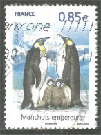 331eu-45 France Polaire Polar Manchot Empereur Emperor Penguin Kaiserpinguin Pinguino - Pinguïns & Vetganzen