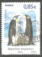 331eu-43 France Manchot Empereur Emperor Penguin Kaiserpinguin Pinguino - Oblitérés