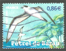 331eu-40 France Pétrel Sturmvogel Stormvogel Oiseau Bird Uccello Vogel - Other & Unclassified