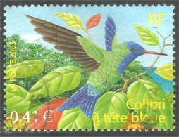 331eu-38 France Colibri Oiseau-mouche Hummingbird  - Colibríes