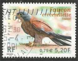 331eu-33 France Crécerellette Turmfalke Kestrel Torenvalk Gheppio Cernícalo - Aigles & Rapaces Diurnes