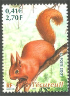 331eu-19 France Écureuil Squirrel Eekhoorn Eichhörnchen Ardilla Scoiattolo - Roedores