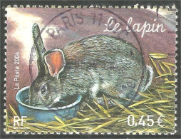 331eu-14 France Lapin Rabbit Hare Hase Kaninchen Coelho Conejo Coniglio Konijn - Alimentation