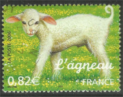 331eu-10 France Mouton Agneau Lamb Schapen Pecora Oveja Sheep Agnello Schaap Lam Lamm Cordero - Alimentation