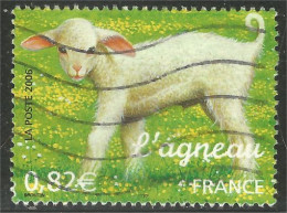 331eu-8 France Mouton Agneau Lamb Schapen Pecora Oveja Sheep Agnello Schaap Lam Lamm Cordero - Other & Unclassified